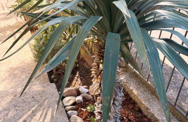 Apartments La Bombonera - Foto 61