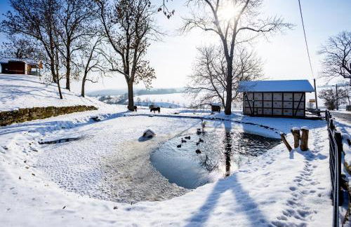 Ferienhof Domäne Groschwitz - Foto 3