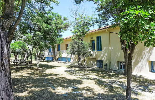 Les Vendanges - Foto 38