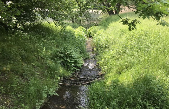 Holiday Home Lower Lake Terrace - Foto 19