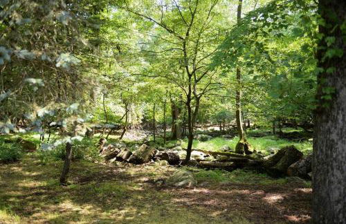 3 Acre Lake Paradise Swimming Pool & Jacuzzi HotTub! - Foto 80