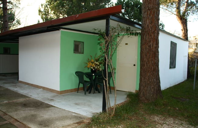 Parco delle Viole - Foto 25