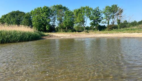 Grosse 4 Sterne Ferienwohnung beim Boddenstrand - Foto 3