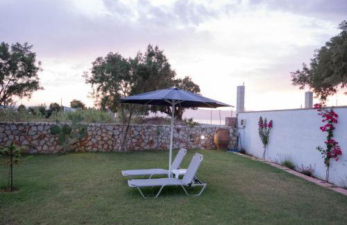 Electra Studios - Foto 11