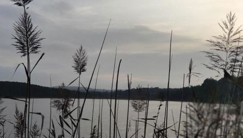 Casa D Amélia - Foto 3