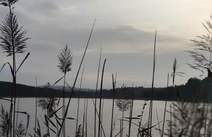 Casa D Amélia - Foto 3