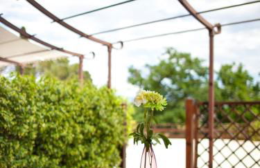 Agriturismo Il Vecchio Mandorlo - Foto 51