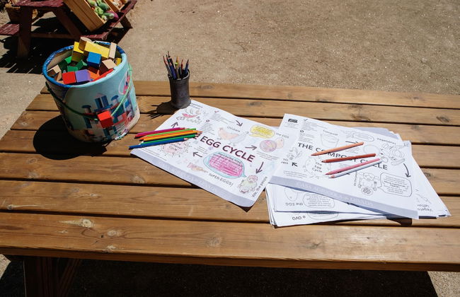 Casa Agrícola da Levada Eco Village - Foto 43