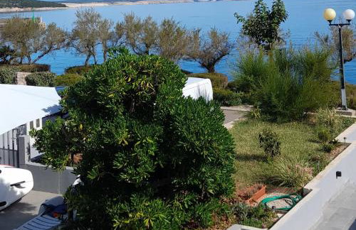 App2 Marin - Photo 19