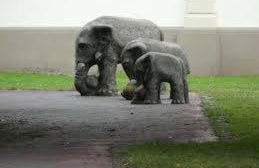 Sonniges Studio im Haus Deutsch Krone - Foto 24