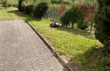 Valtellinda - Foto 31