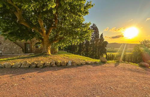 Agriturismo Tenuta i 4 venti - Foto 71