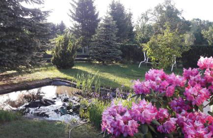 Fewo Abendsonne - Foto 26