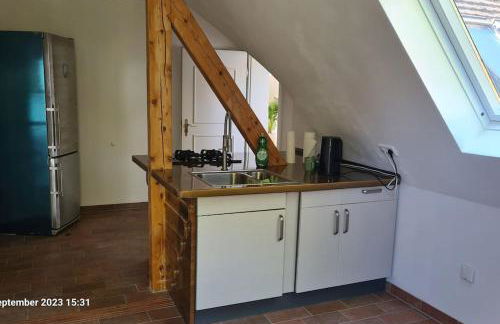 Modernes Apartment mit 3 Zimmern - Foto 14