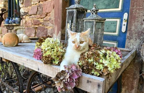 Domaine LaPromise - Photo 26