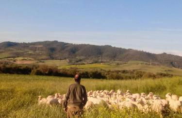 Agriturismo Oasi del Pianettino - Foto 27