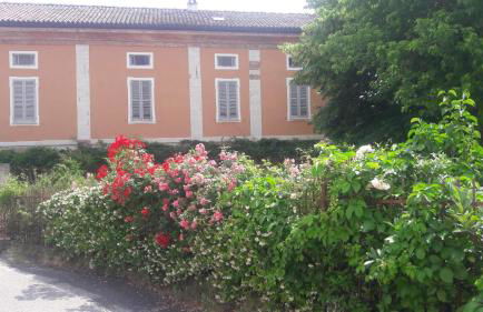 Agriturismo Azienda Agricola Mombisaggio - Photo 2