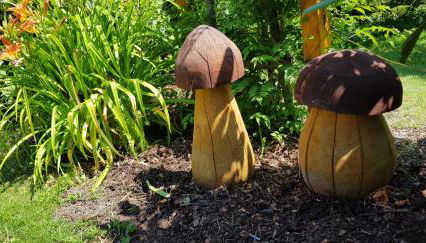 Ferienhaus Sonnentau - Foto 5, Garden