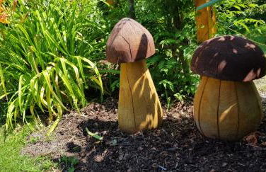 Ferienhaus Sonnentau - Foto 5