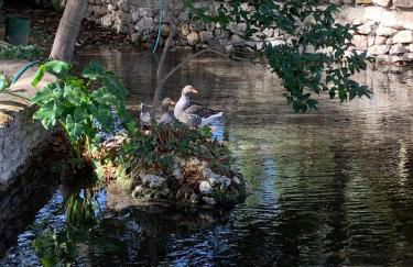 Villa Remedios - Foto 13