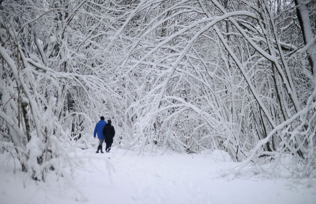 Le Baron Apartments - Photo 30