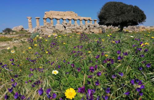 CASA MICHELE - Foto 24