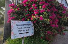 Ferienwohnungen Hering - Foto 37