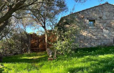 Domaine de la Coletta Maison traditionnelle - Photo 9