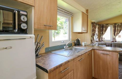 Caravan 2 at Blackmoor Farm near Tenby - Foto 9