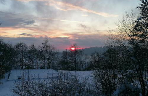 Ferienwohnung für Familien im Bayrischen Wald - Foto 32