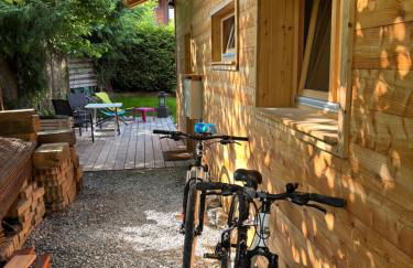 Face au MtBlanc avec jardin - Foto 8