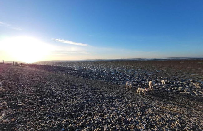 Bungalow in Sondel Near Slotermeer Lake - Foto 26