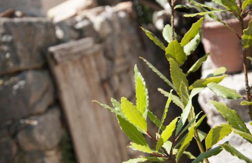 Stone house Na Rudini - Photo 42