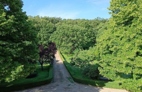 Casale la Quercia - Splendido casale nella natura - Foto 4