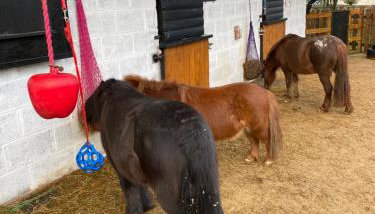 Cherry Croft Lodge - Foto 2