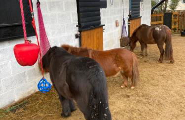 Cherry Croft Lodge - Foto 2