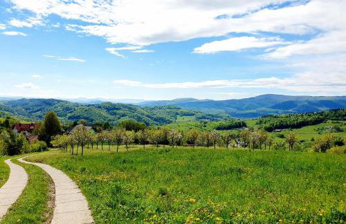 Dom na Kamieńcu - Photo 16