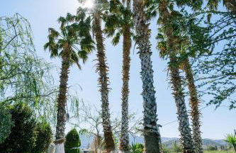 Stella's Holiday Resort - Foto 5