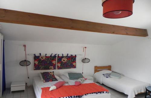 Les vagues du Sud - Photo 27