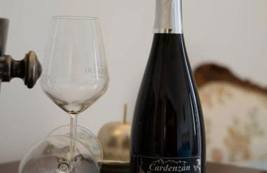 Agriturismo Casa Donazzolo - Foto 11