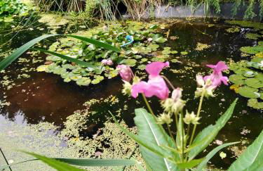 Ferienwohnung im Grünen - Foto 2