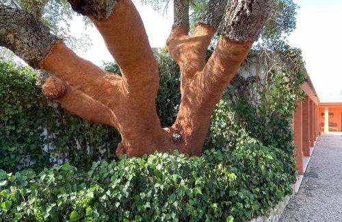 Casa do Sobro - Foto 4