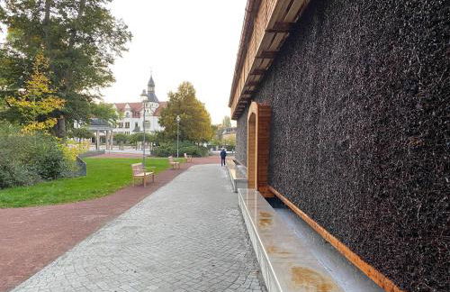 Waldhaus Eichhörnchen - Foto 59