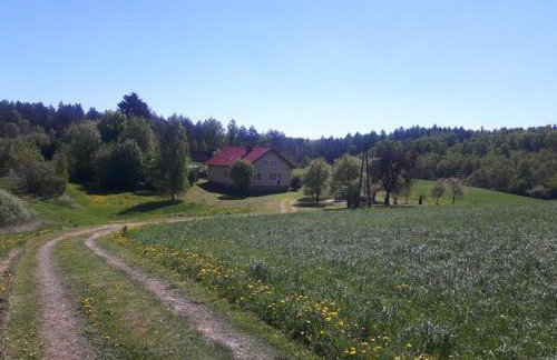 Dom na Warmii - Foto 3