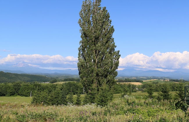 Cottage Ken&Mary - Foto 32