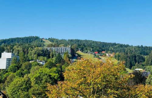 Apartament Cicha 12 - Centrum - Garaż - Foto 8