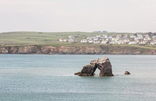 Sea Campion - Foto 31