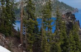 Mt. Bachelor & Sun River Get Away - Foto 52