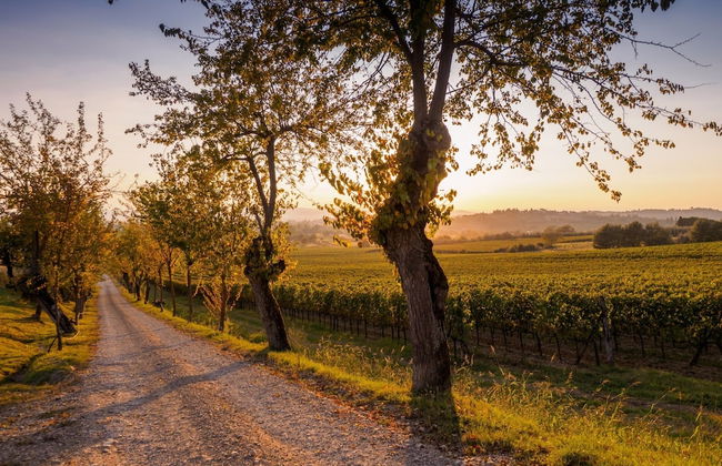 Agriturismo Il Palazzo - Foto 38