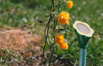 Apartman Marta i soba Maja - Foto 27